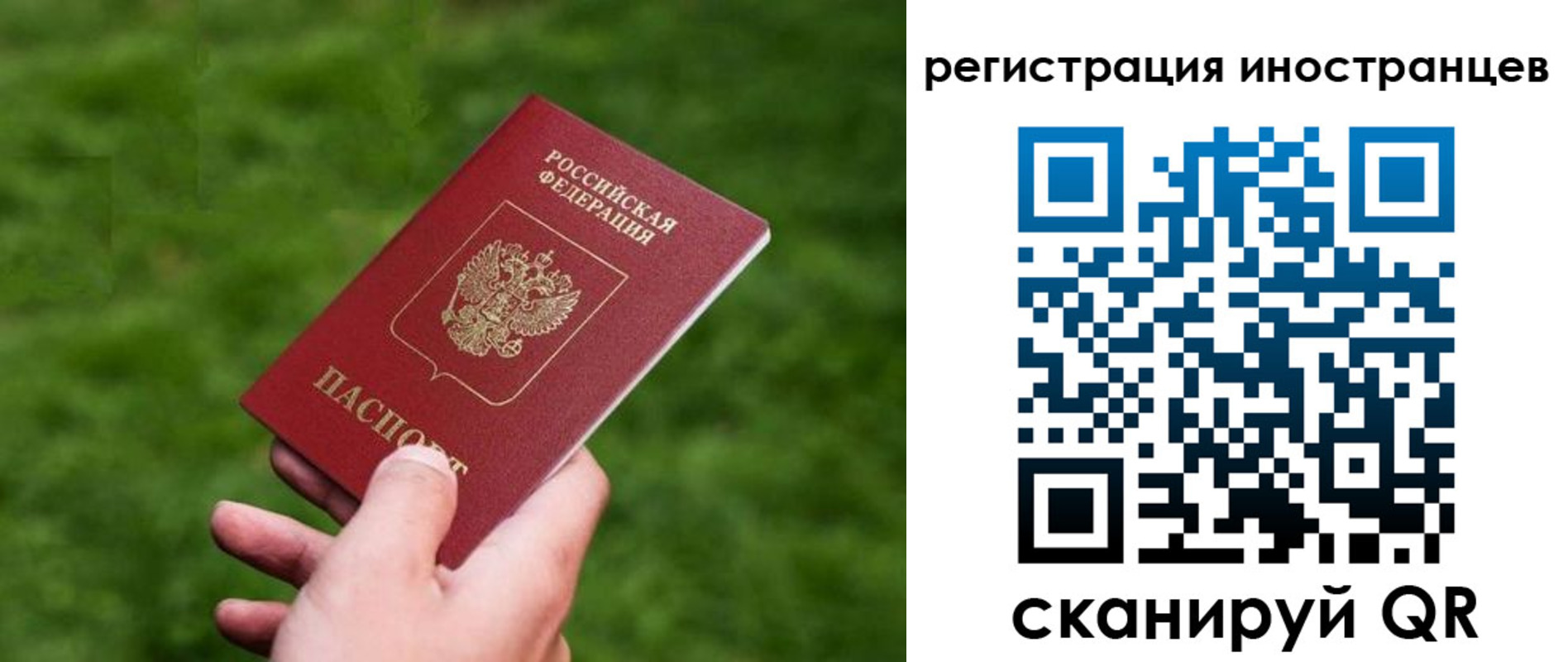 прописка ребенка в Новоузенске